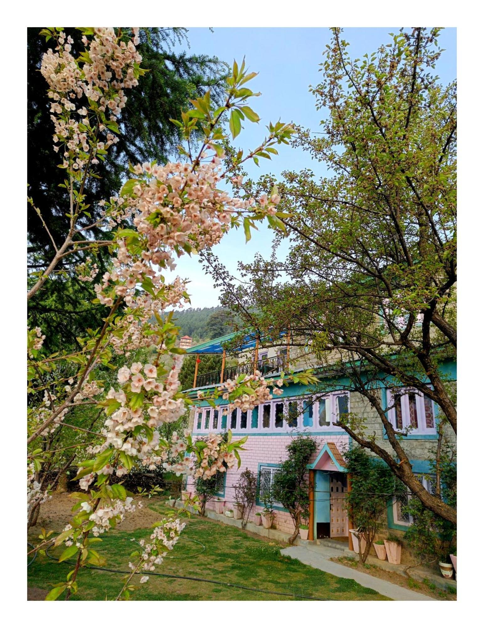 Farmvilla Homestay Kalpa Kültér fotó
