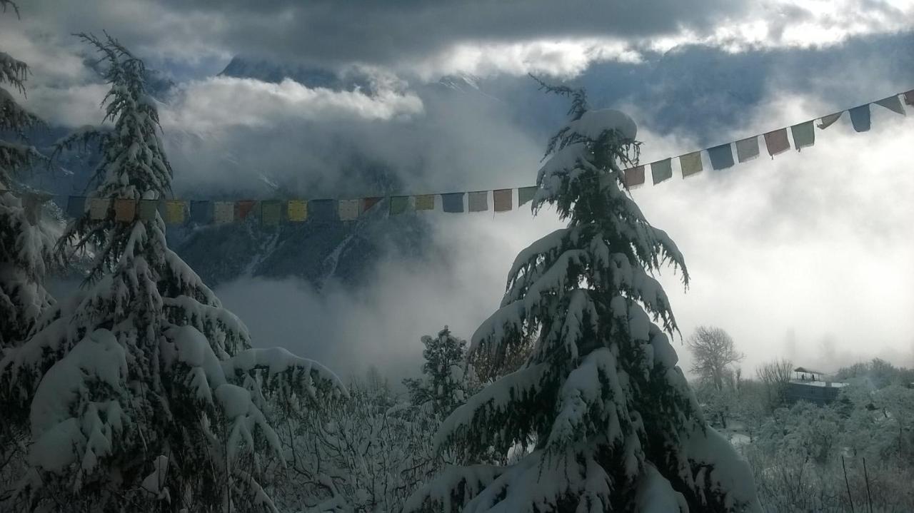 Farmvilla Homestay Kalpa Kültér fotó