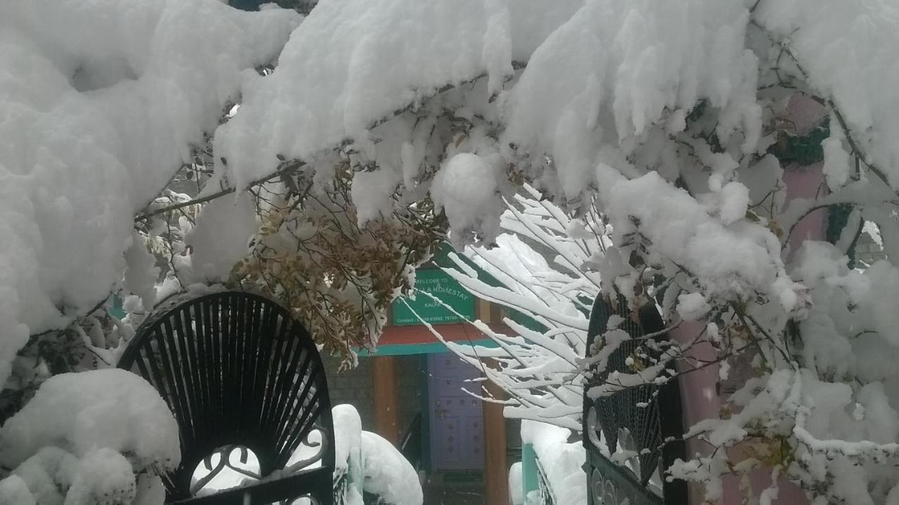 Farmvilla Homestay Kalpa Kültér fotó